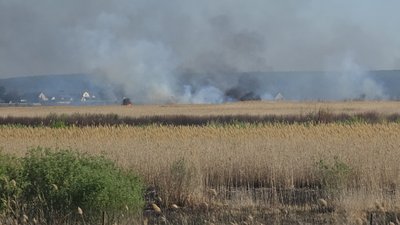 пожежа, очерет, дим, поле, чугуївський район, харківщина, 2 травня 2025