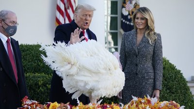 Індички і Трамп з дружиною Індички і Трамп з дружиною