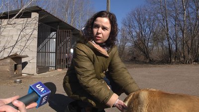 У Житомирі забезпечать кормом для тварин тих, хто підгодовує бездомних котів та собак У Житомирі забезпечать кормом для тварин тих, хто підгодовує бездомних котів та собак