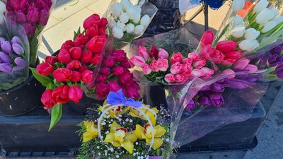 свято, 8 березня, експерт, історія, традиція, Житомир