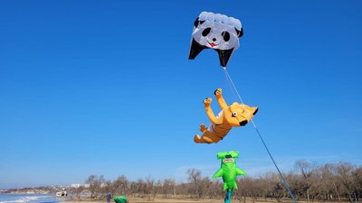 У Миколаєві кайтери провели тренування на відкритій території У Миколаєві кайтери провели тренування на відкритій території
