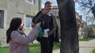 На Тернопільщині діти прикрасили вулицю свого міста великодніми віночками На Тернопільщині діти прикрасили вулицю свого міста великодніми віночками