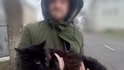 На Одещині затримали 28-річного чоловіка, який з котом прямував до Молдови
