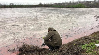 Держекоінспекція, забруднення ґрунтів, Зеленогірська громада