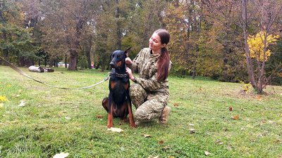 "З’явилися ми у неї, а не вона". Історії тварин, за якими доглядають сумські добровольці