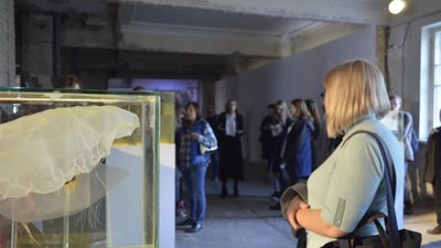 Черпала натхнення в спустошених Карпатах: львів'янка презентує виставку у Харкові