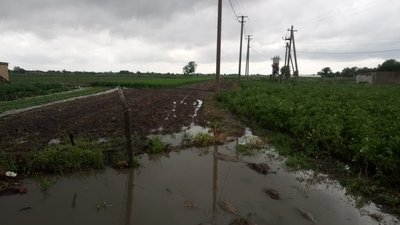 Затоплені городи, розмиті дороги: на Херсонщині дощить