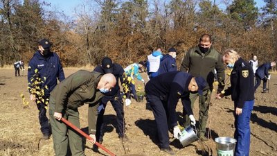 Запоріжці долучилися до Всеукраїнської акції висадки дерев Запоріжці долучилися до Всеукраїнської акції висадки дерев
