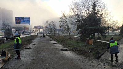 Стало відомо, де в Одесі можна здати ялинку на переробку Стало відомо, де в Одесі можна здати ялинку на переробку