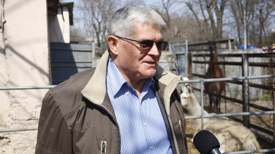 В Одеському зоопарку народилася лама В Одеському зоопарку народилася лама