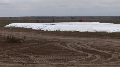 Немає де зберігати зібраний врожай: чернігівські аграрії отримають понад три тисячі рукавів для зерна