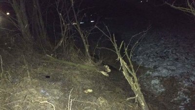 Перевищив швидкість: на Рівненщині у ДТП загинув водій Перевищив швидкість: на Рівненщині у ДТП загинув водій
