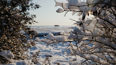 Туристична Херсонщина: де можна відпочити взимку Туристична Херсонщина: де можна відпочити взимку