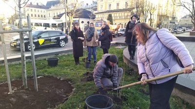Акція "16 днів проти насильства": у Львові висадили кущі калини