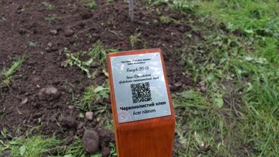 Пора саджати! В Івано-Франківську стартувала програма "Пам'ятне дерево" Пора саджати! В Івано-Франківську стартувала програма "Пам'ятне дерево"
