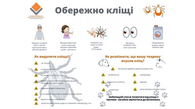 У Кропивницькому виявили кліщів зі збудниками хвороби Лайма У Кропивницькому виявили кліщів зі збудниками хвороби Лайма