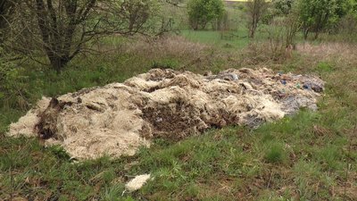 Пір’я та тельбухи: на Прикарпатті в урочищі викинули відходи птаховиробництва