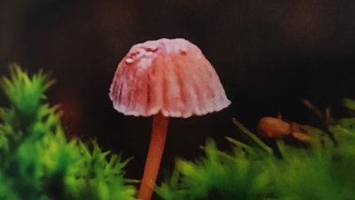 фотовиставка бійця Юрія Костишина фотовиставка бійця Юрія Костишина