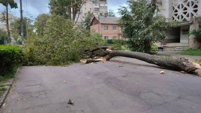 УВінниці через негоду падали дерева УВінниці через негоду падали дерева