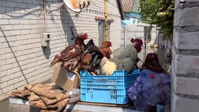 Річниця після підриву Каховської ГЕС. Фотодобірка від Суспільне Миколаїв