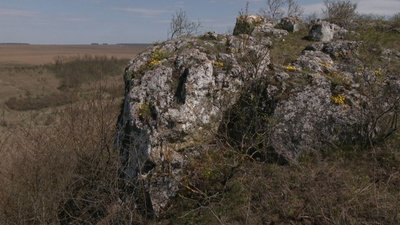 На Хмельниччині досліджують екосистеми Товтрового кряжу — доісторичного бар’єрного рифу