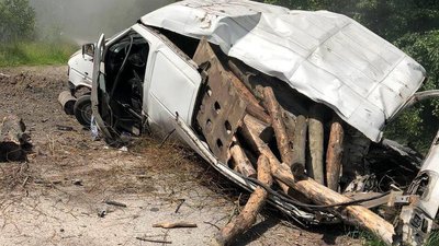 На Київщині у лісі дві людини підірвалися на міні. Ніхто не загинув