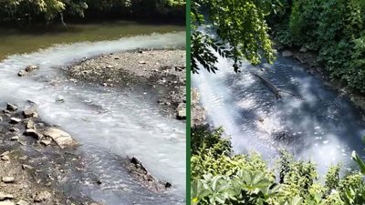 річка, стрипа, бучач, забруднення, екологія