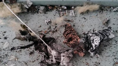 На Запорізькому напрямку прикордонники відбили атаку 10 російських безпілотників На Запорізькому напрямку прикордонники відбили атаку 10 російських безпілотників