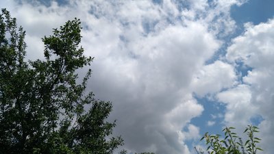 Погода на тиждень. У Миколаєві очікуються грози