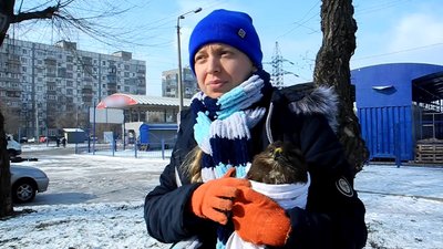 Запорізька волонтерка врятувала хижого птаха Запорізька волонтерка врятувала хижого птаха