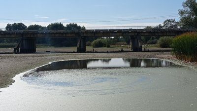 На розчистку русла річки Хорол на Полтавщині треба щонайменше 12 мільйонів гривень На розчистку русла річки Хорол на Полтавщині треба щонайменше 12 мільйонів гривень