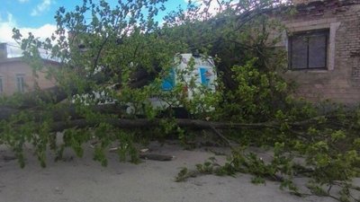 Знеструмлено понад 18 тисяч абонентів та повалені дерева: наслідки негоди на Рівненщині Знеструмлено понад 18 тисяч абонентів та повалені дерева: наслідки негоди на Рівненщині