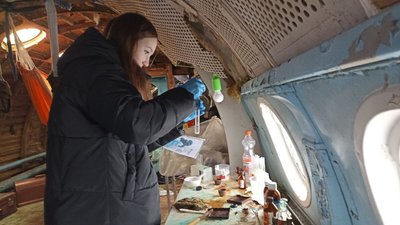 Більше 650 людей долучилися до благодійного квесту у літаку в парку Житомира Більше 650 людей долучилися до благодійного квесту у літаку в парку Житомира