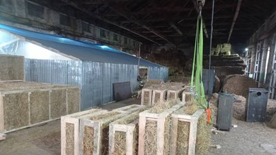 Не казковий, а житловий: волинянин будує солом'яні будинки Не казковий, а житловий: волинянин будує солом'яні будинки