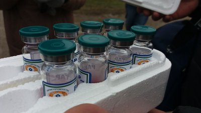 Вакцинація від сказу Вакцинація від сказу