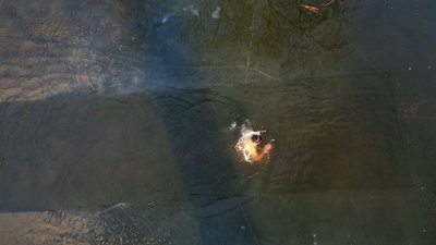 У Сумах відзначили Водохреще