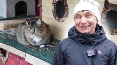 Херсон, коти, тварини, Людмила Пушкіна, волонтери