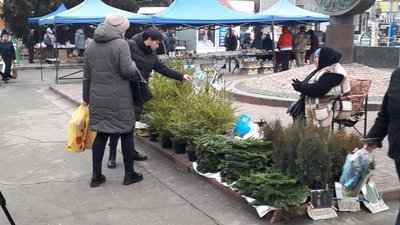 У Херсоні відкриваються ялинкові базари. Де можна купити й скільки коштує новорічне дерево У Херсоні відкриваються ялинкові базари. Де можна купити й скільки коштує новорічне дерево