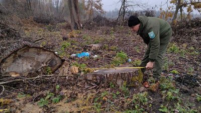 На Вінниччині зафіксували вирубку майже 800 дерев На Вінниччині зафіксували вирубку майже 800 дерев