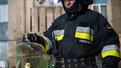 папуга, дснс, зруйнована багатоповеріхвка, тернопіль