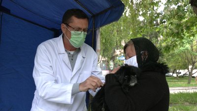 У Рівному від сказу безкоштовно вакцинують котів і собак. Як це проходить