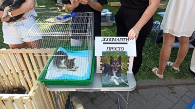 У Вінниці вдевʼяте організували "ХвістФест" У Вінниці вдевʼяте організували "ХвістФест"