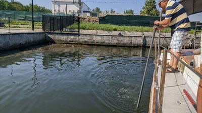 На річках Миколаєва відбулась екоакція На річках Миколаєва відбулась екоакція