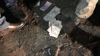 Посадовець із Черкащини незаконно збував деревину