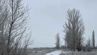 Засніжена дорога у Донецькій області січень 2026 рік