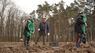 У вінницьких лісгоспах планують висадити 5 мільйонів сіянців за 2 тижні