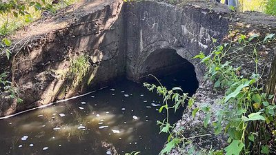 Стічні води, Бердичів