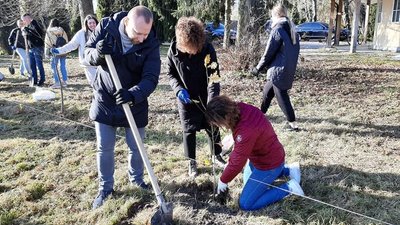Дуби, липи, павловнії: у Луцьку волонтери висадили алею дерев Дуби, липи, павловнії: у Луцьку волонтери висадили алею дерев
