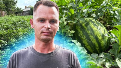 Урожай після граду: як житель Миколаєва на городі вирощує гібридний сорт кавунів