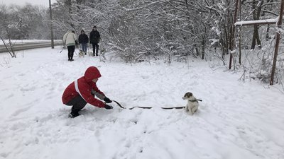 «Тварини теж все відчувають»: як працює пункт перетримки у Полтаві «Тварини теж все відчувають»: як працює пункт перетримки у Полтаві
